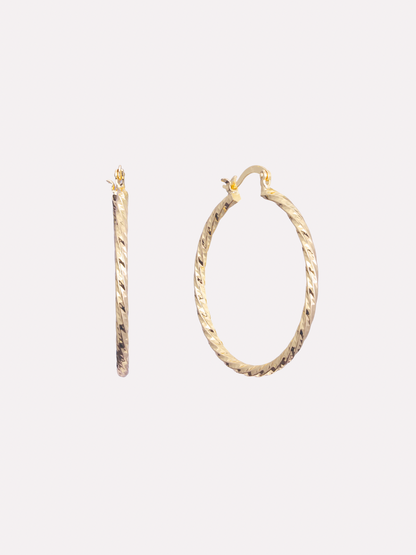 Twisted Facet Hoop Earrings